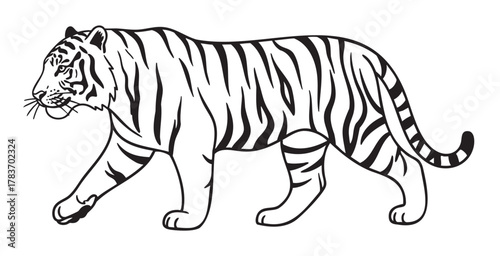 Black and white outline illustration of a walking tiger with distinct stripes and a confident stance.