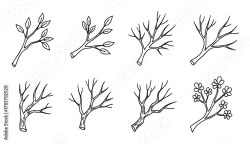 Black outline illustrations of various tree branches, some with leaves or flowers, showcasing different stages of growth.