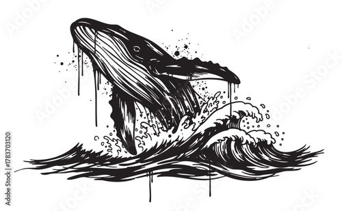 Detailed black and white illustration of a whale breaching the ocean surface, surrounded by dynamic waves.
