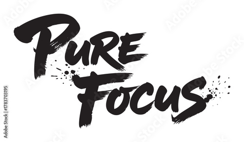 Bold and expressive black handwritten text "pure focus" with decorative splatters emphasizing artistic flair and creativity.