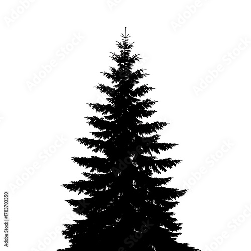 Silhouette of a Fir Tree - A Timeless Evergreen Icon.