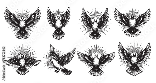 Eight intricately detailed black and white drawings of doves, each with unique wing positions and halo-like radiating lines around their heads.