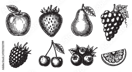 Hand-drawn black and white illustrations of various fruits including an apple, strawberry, pear, grape cluster, raspberry, cherries, blueberries, and a lemon slice.