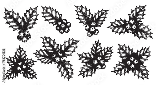 Black and white pen illustrations of holly leaves and berries in various arrangements, emphasizing traditional holiday motifs.