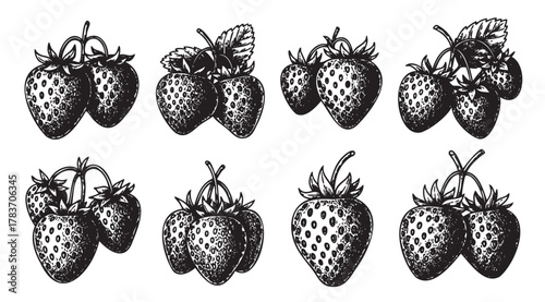 Eight black and white hand-drawn illustrations of strawberries in various clustered arrangements, showing intricate detailing and shading.
