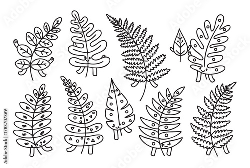 Black outline drawings of various whimsical fern leaves with simple decorative patterns and smiling faces.