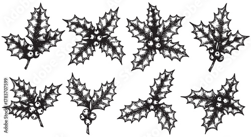Eight black outline illustrations of holly leaves and berries arranged in varied positions.