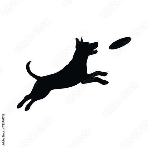 Silhouette of a dog jumping to catch a frisbee