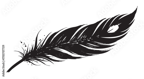 Black ink sketch of a detailed feather with intricate lines and textures on a plain white background.