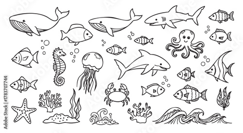 Black and white line art of various marine animals including whales, sharks, fish, octopus, sea horse, jellyfish, crab, coral, starfish, and ocean waves.