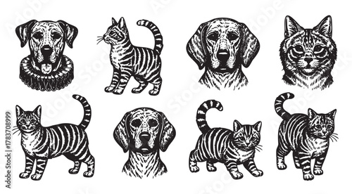 Black and white intricate illustrations of four dogs and four cats, each displaying detailed facial features and distinct fur patterns.