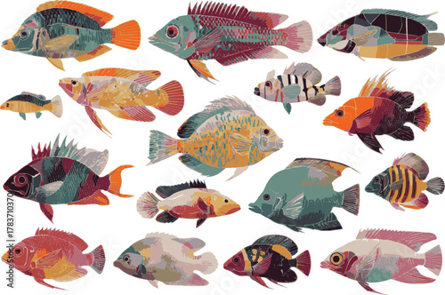 Tropical fish collection isolated on transparent background. fish header, png web banner