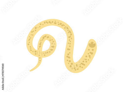 Hookworm Parasite illustration