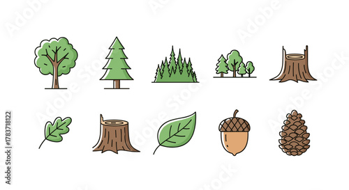 Vibrant collection of stylized forest elements, including various trees, pine trees, tree stumps, oak leaves, acorns, and pinecones, presented as a clean vector cartoon illustration on a white