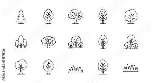 Collection of Thin Line Icons Representing Various Types of Trees, Including Conifers and Deciduous Varieties, Set Against a Clean White Background, Ideal for Graphic Design, App Interfaces, and