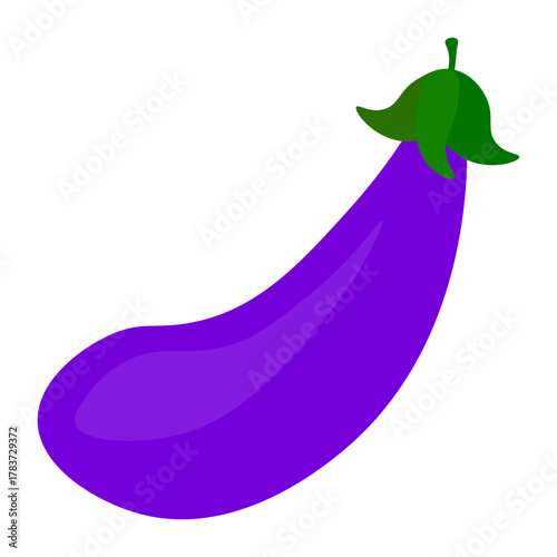 Purple eggplant vegetable. Healthy food ingredient. Isolated Vector element. Natural fresh produce.