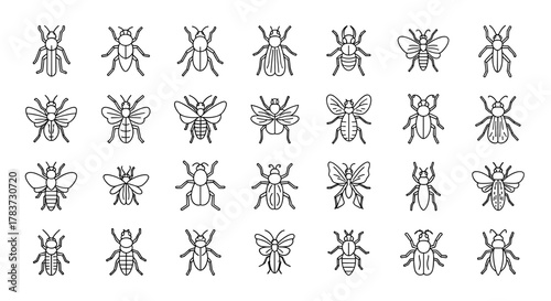 Collection of 30 unique insect outline icons, featuring a diverse range of bugs like bees, butterflies, beetles, and flies, presented with editable strokes, perfect for infographics, articles, books