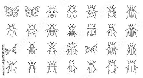 Collection of outline illustrations of various insects, including butterflies, bees, ants, ladybugs, grasshoppers, and beetles, perfect for infographics, articles, books, flyers, and banners, with