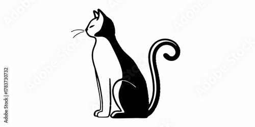 Elegant black and white cat sitting with curled tail and whiskers in a minimalist design style image