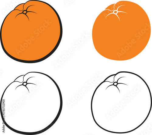 Orange fruit vector design