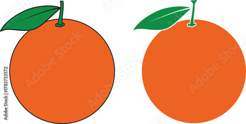 Orange fruit vector design