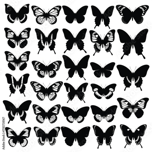  kinds of different butterfly vector art silhoueette with white background