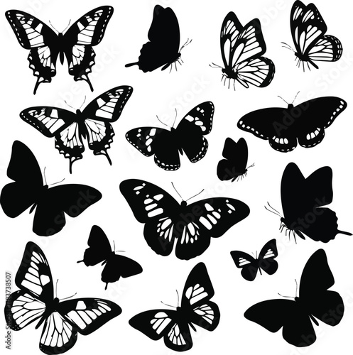  kinds of different butterfly vector art silhoueette with white background.