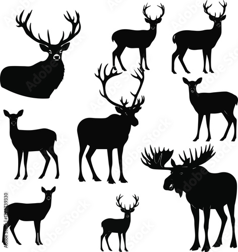 kinds of different deer vector art silhoueette with white background