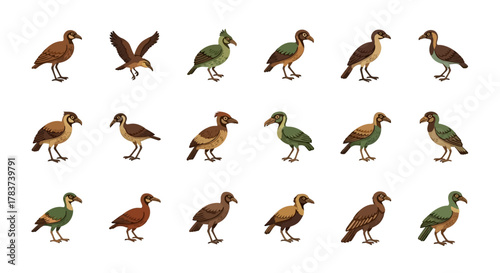 Collection of Ducks in Various Poses on White Background.