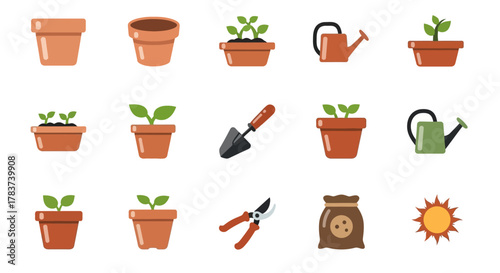 Gardening Tools and Seedlings A Collection of Essential Items.