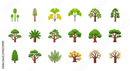 Diverse Tree Collection A Variety of Tree Types.