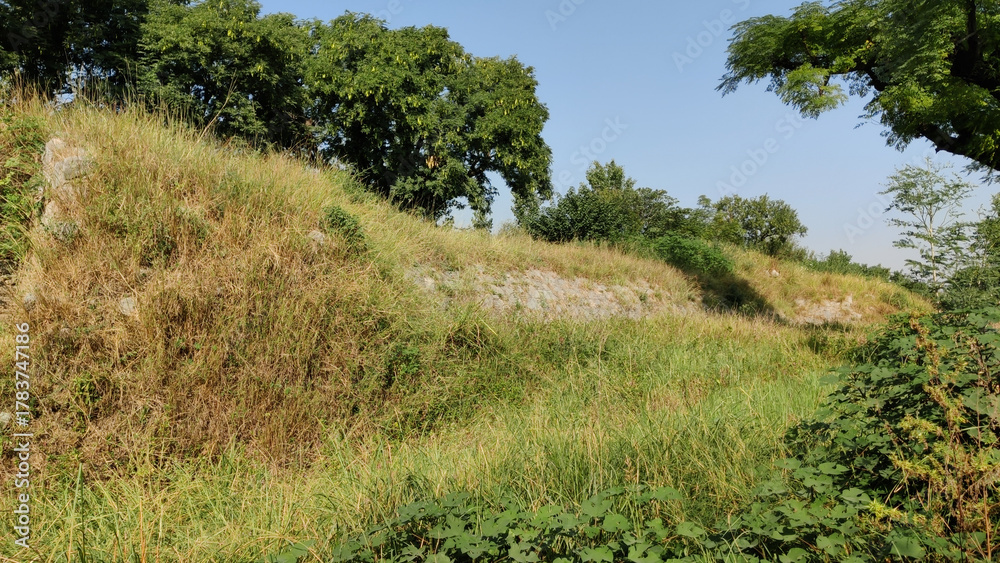 Obraz premium Abandoned Kushan city of Sirsukh stands as a silent witness to ancient imperial control and decline Taxila Pakistan