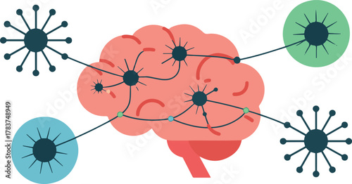 Human Brain With Neural Network Connections Vector Concept