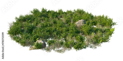 Fotografie Forest Field Ground texture cutout isolated png on a transparent background prem