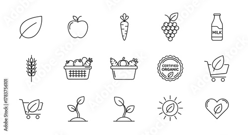 A collection of clean, minimalist line icons representing organic food and healthy lifestyle choices, including fresh produce, milk, wheat, sprouts, and a certified organic badge, perfect for