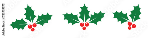 Christmas holly berry leaves. Vector illustration.
