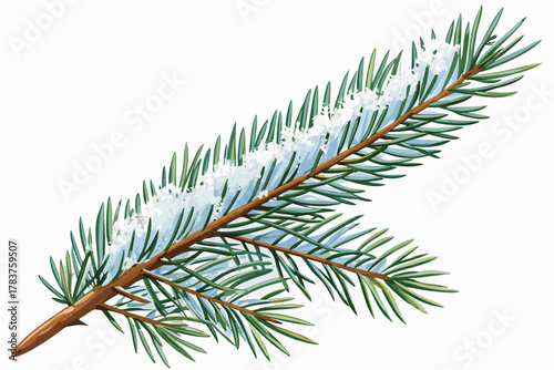 A green spruce branch covered with snow