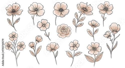 Delicate floral illustration showcasing assorted hand-drawn flowers with soft neutral hues and intricate details