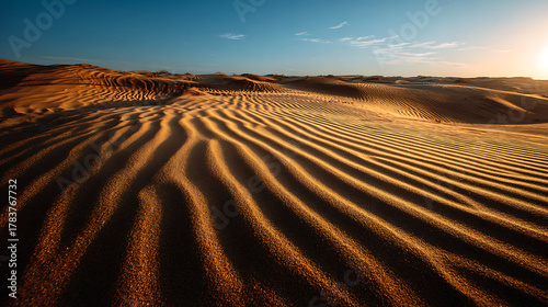 Fototapeta Naklejka Na Ścianę i Meble -  Rippled desert sand dunes
