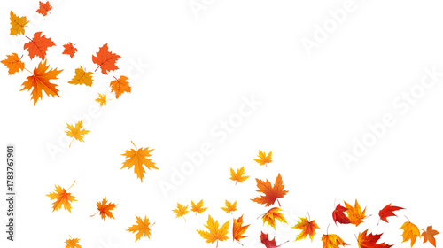 Falling Autumn Leaves Effect. Orange and yellow maple foliage. Ideal for seasonal backgrounds.