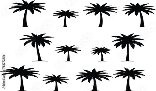 Black silhouette palm tree collection, tropical beach coconut trees, summer vacation nature design, exotic island paradise illustration set for decoration