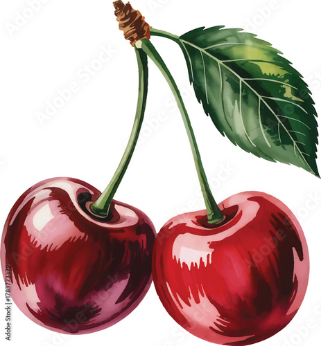 cherries Pair of red with stem and leaf on white background