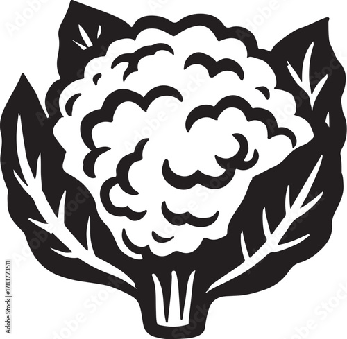 Cauliflower and cabbage vector art কপি