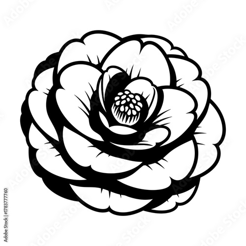A black and white illustration of a camellia flower