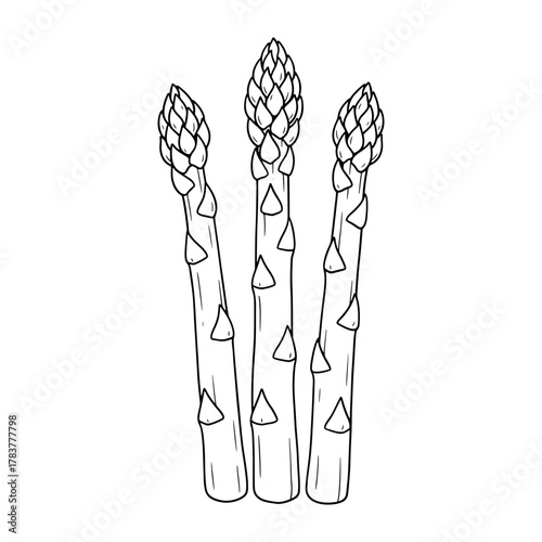 black and white asparagus stalks clip art preview