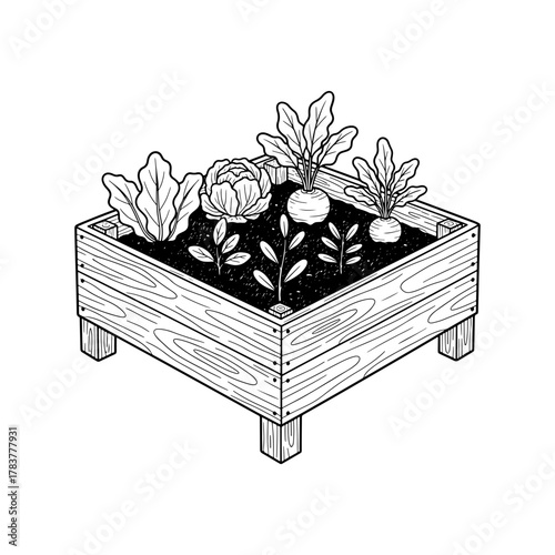Cultivate Freshness: Charming Hand-Drawn Vegetable Garden Box for Sustainable Living Designs, Organic Food Projects, and Eco-Friendly Lifestyle Brands