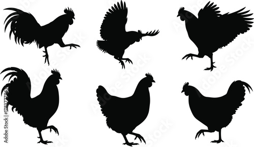 Chicken silhouettes collection, poultry farm animal vector illustration, black outline artwork, rural agriculture design, livestock theme graphic, decorative stock pattern set