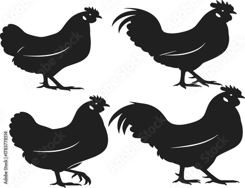 Chicken silhouettes collection, poultry farm animal vector illustration, black outline artwork, rural agriculture design, livestock theme graphic, decorative stock pattern set