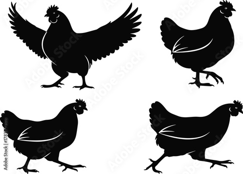 Chicken silhouettes collection, poultry farm animal vector illustration, black outline artwork, rural agriculture design, livestock theme graphic, decorative stock pattern set