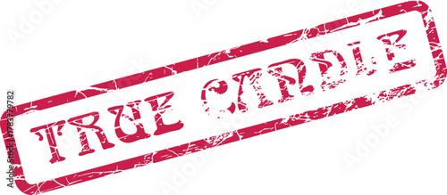 Powerful red grunge rubber stamp impression highlighting the affirming statement TRUE CAPABLE